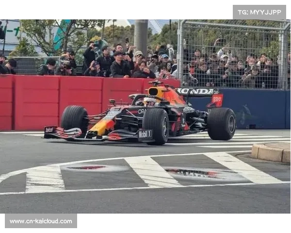 F1东京路演创历史新纪录 四车手驾驶RB7亮相台场精彩巡游 F1东京路演创历史新纪录 四车手驾驶RB7亮相台场精彩巡游